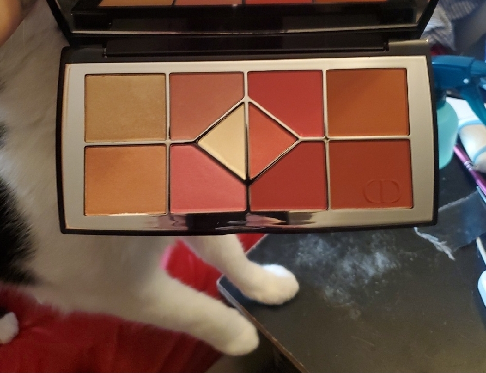 Dior Diorshow Mitzah Edition Eyeshadow Palette 10 Colors - Picture 3 of 14